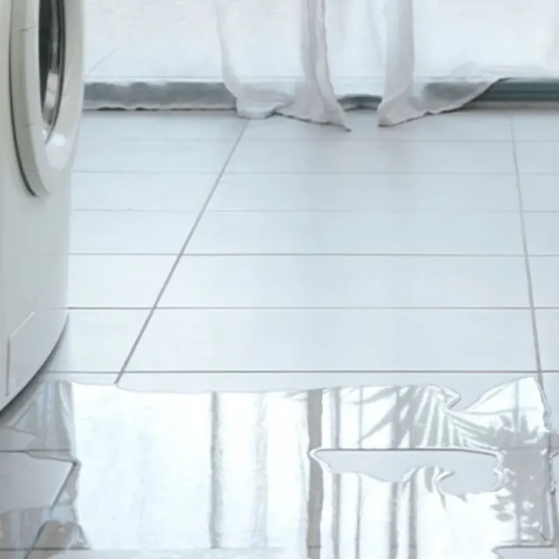 Appliance Leak Cleanup in Wilson County, KS