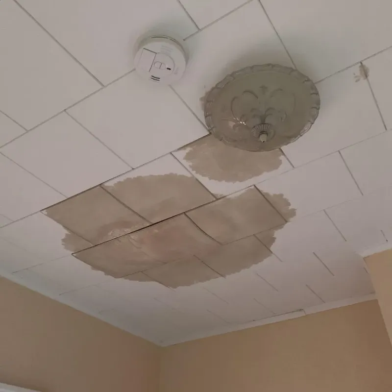 Ceiling Water Damage Repair in Wilson County, KS